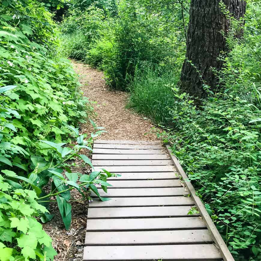 Trail around Reed Lake