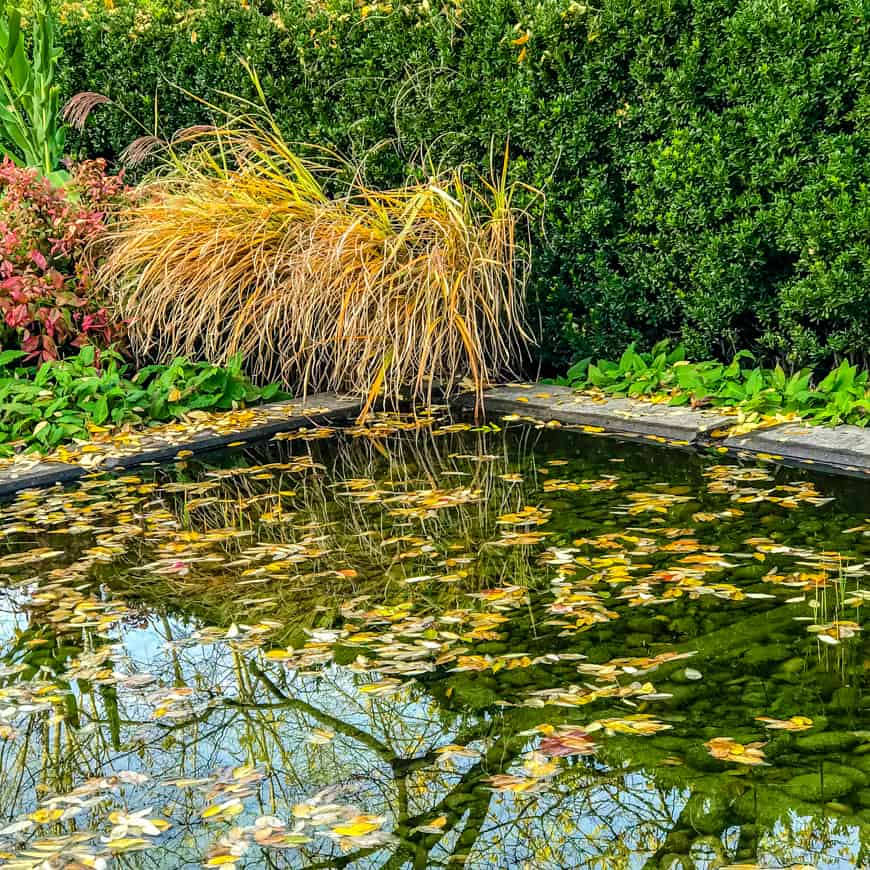 OAKS BOTTOM FALL 2018 40