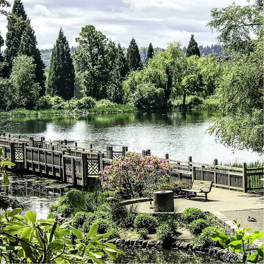 Crystal Springs Rhododendron Garden SkyBlue Portland 53