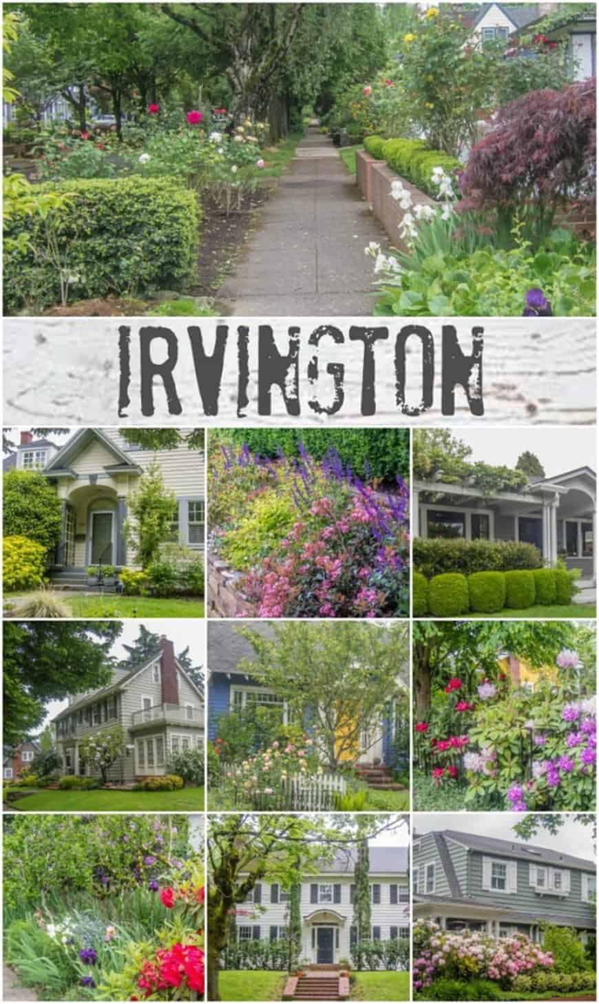 Invington Collage Final 611x1024 1