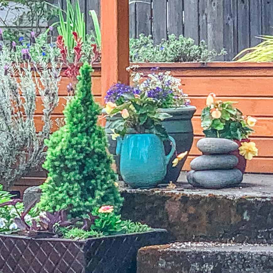 Garden in wWoodstock