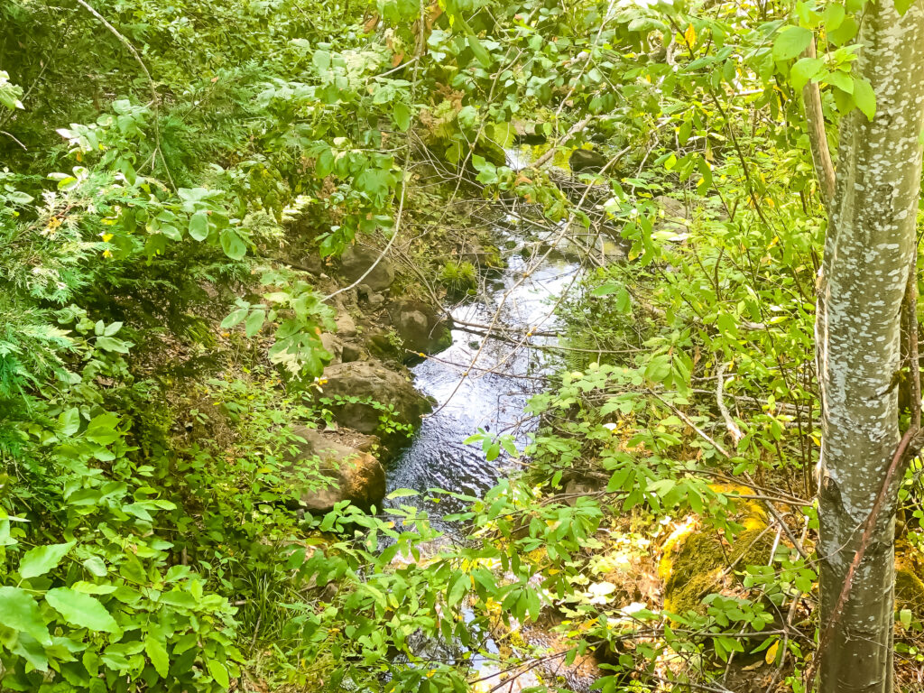 Barrington Heights Reverse Walk 2021 08 18 22