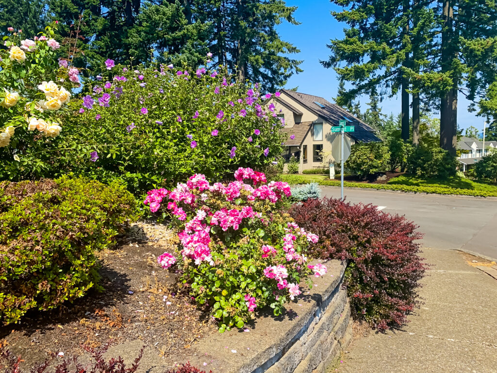 Homes in West Linn's Barrington Heights Neighborhood