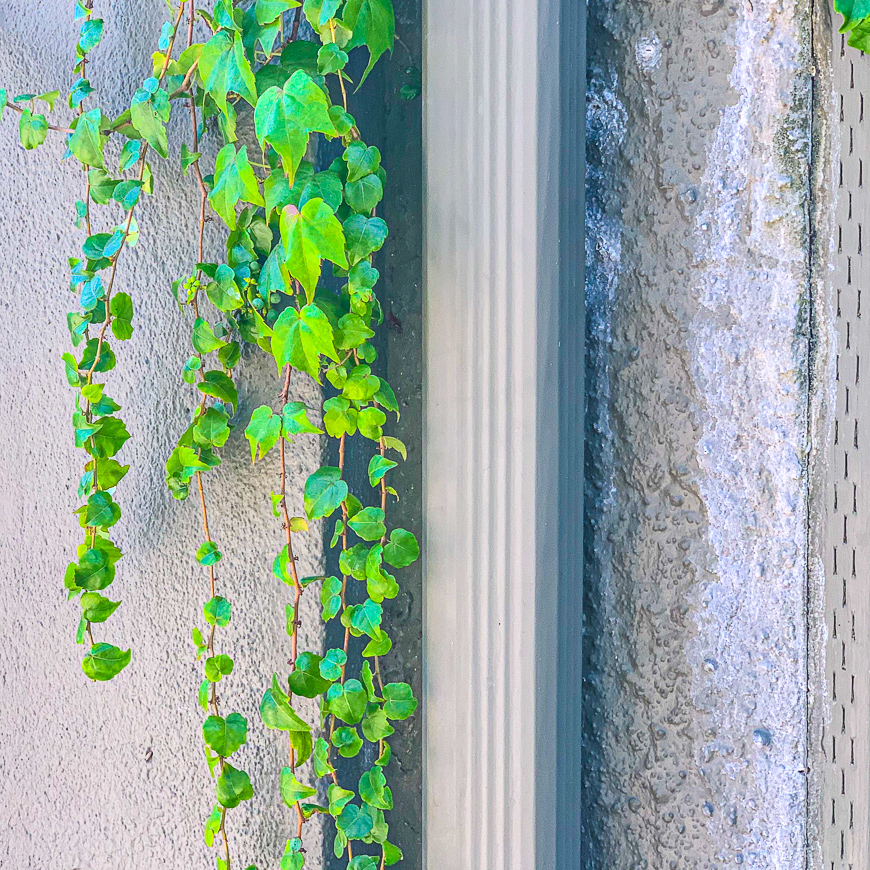 WILLAMETTE HEIGHTS KINGS HEIGHTS 2019 08 28 10