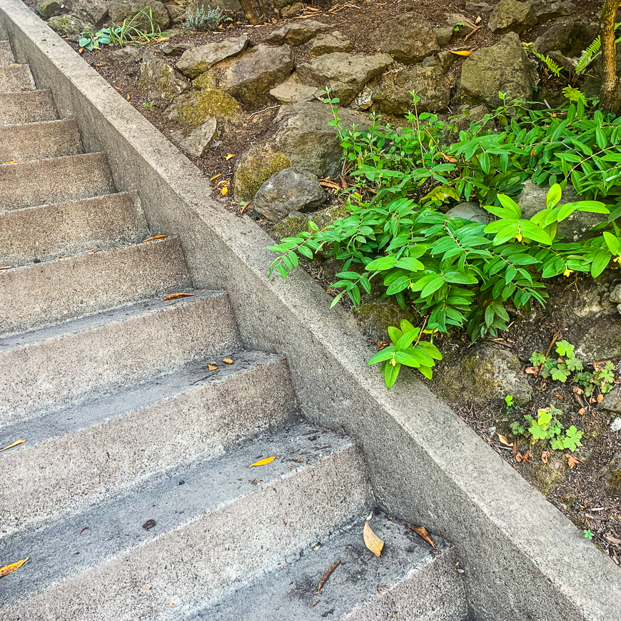 WILLAMETTE HEIGHTS KINGS HEIGHTS 2019 08 28 14