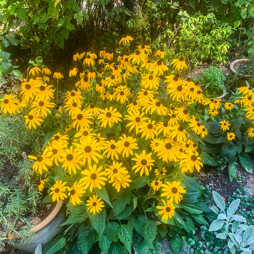 WILLAMETTE HEIGHTS KINGS HEIGHTS 2019 08 28 23