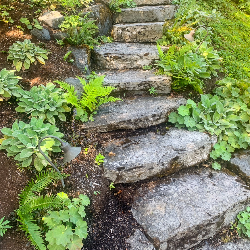 WILLAMETTE HEIGHTS KINGS HEIGHTS 2019 08 28 29