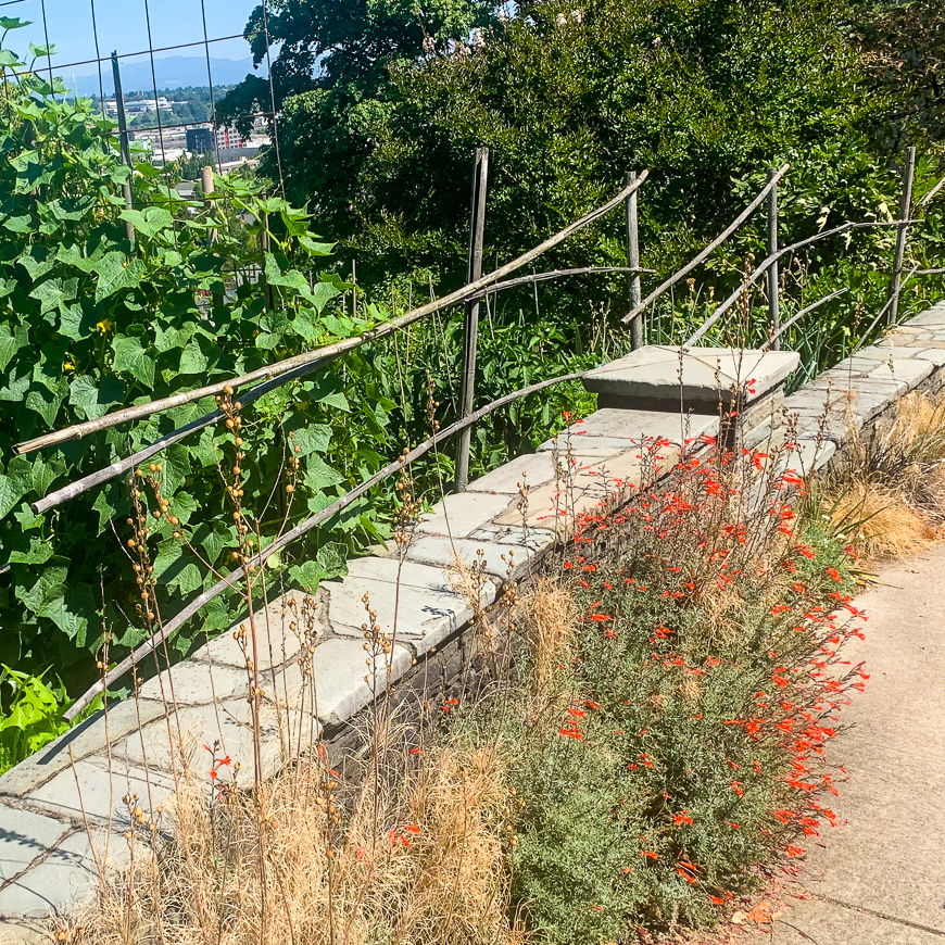 WILLAMETTE HEIGHTS KINGS HEIGHTS 2019 08 28 33