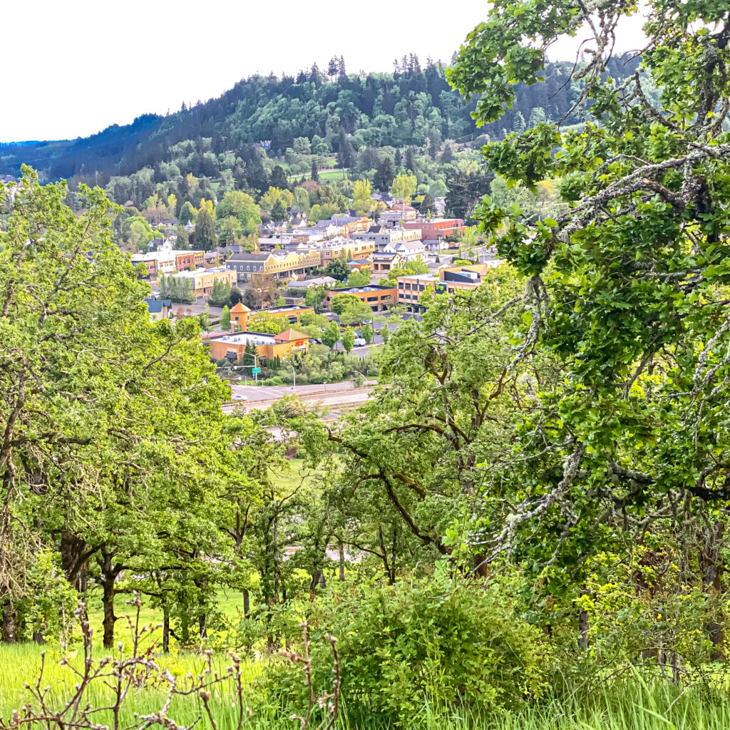 Walking West Linn: Historic District, Willamette Park, White Oak Savanna Loop