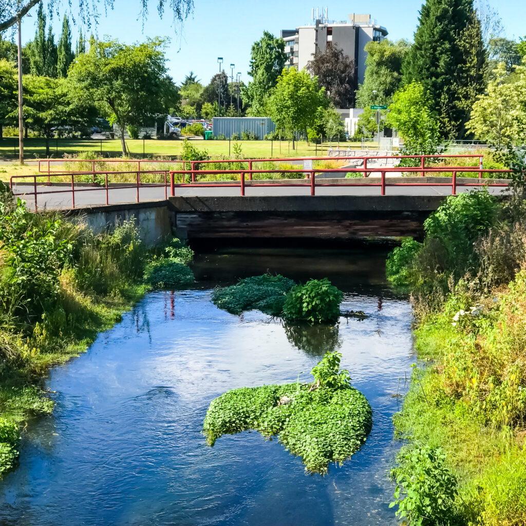 Walking Sellwood-Moreland: Oaks Bottom Overlook, Westmoreland Park, Garthwick Loop Route Map | Pedestrian Bridge Over Crystal Springs Creek
