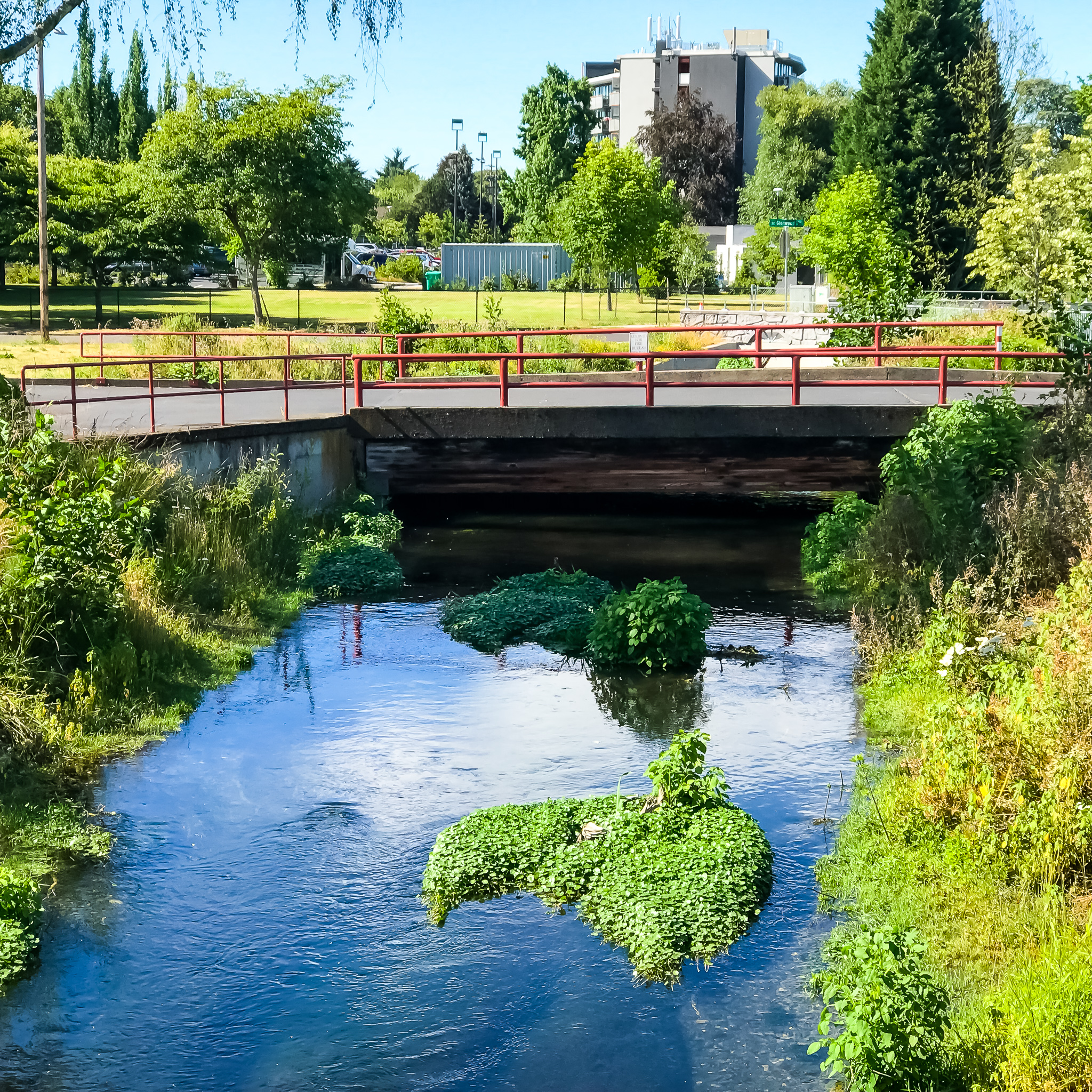 Westmoreland Park, Crystal Springs Creek