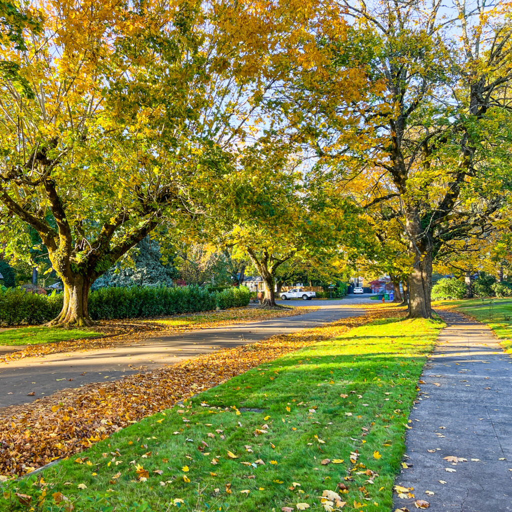 SELLWOOD WALK 2021 10 31 5