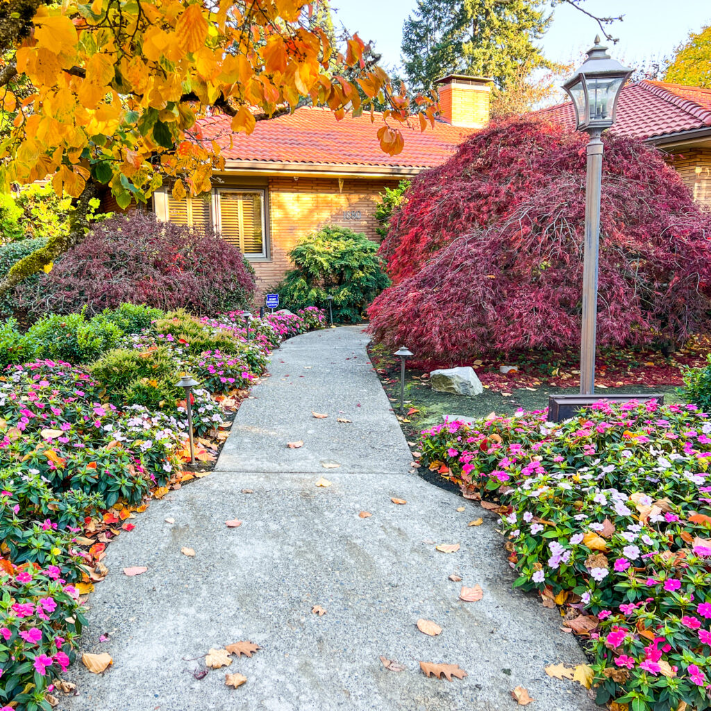 SELLWOOD WALK 2021 10 31 8