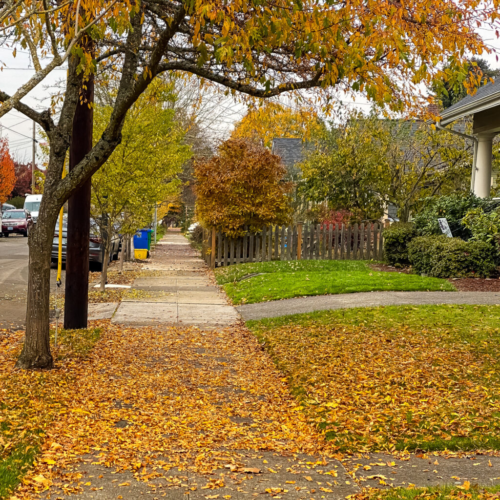 Walking Sellwood-Moreland: Oaks Bottom Overlook, Westmoreland Park, Garthwick Loop | Historic Sellwood: SE 18th Ave & SE Rex St