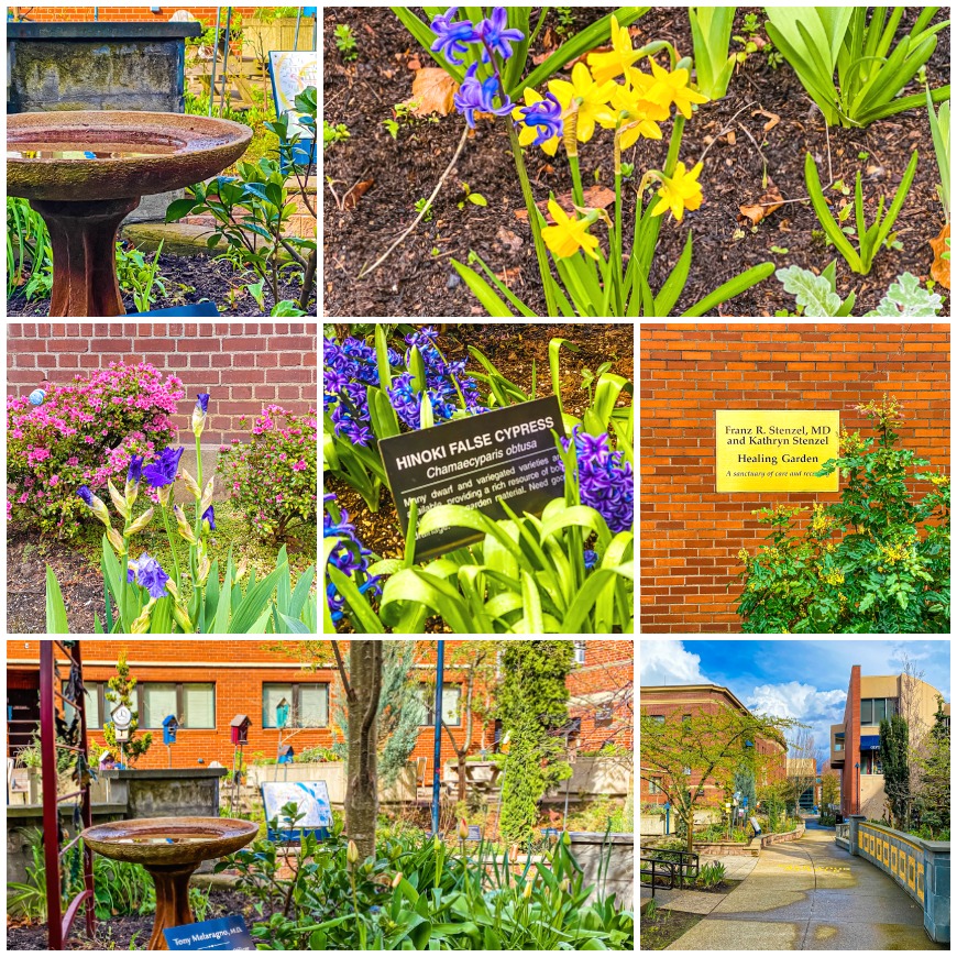 Stenzel Healing Garden, Good Samaritan Hospital