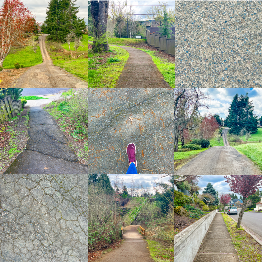 Walking West Linn: Parker Crest, Tanner Creek, Rosemont Loop