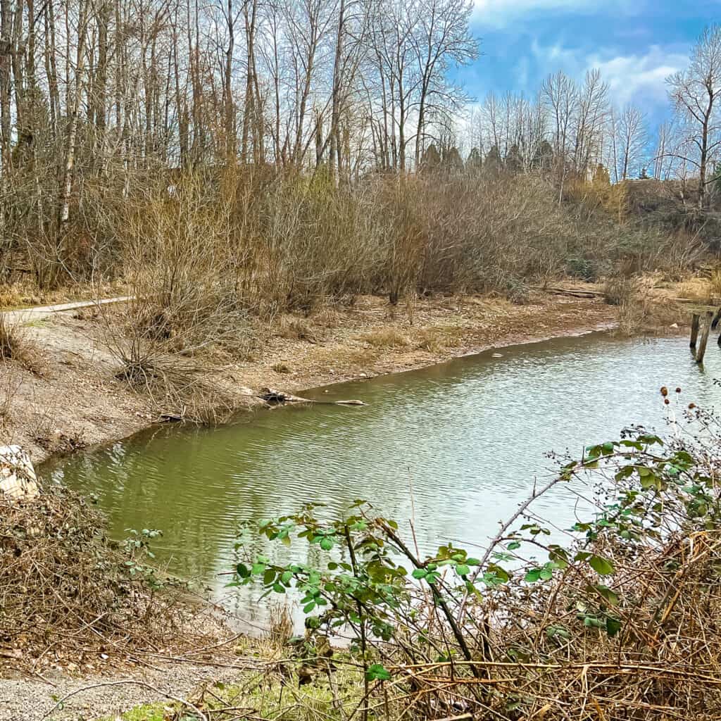 CAMUS WASHOUGAL GREENWAY TRAIL 2022 03 12 54 2