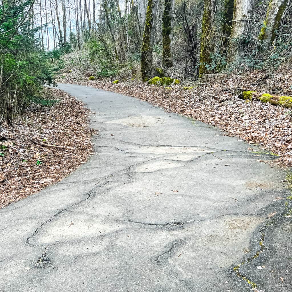 CAMUS WASHOUGAL GREENWAY TRAIL 2022 03 12 72 2