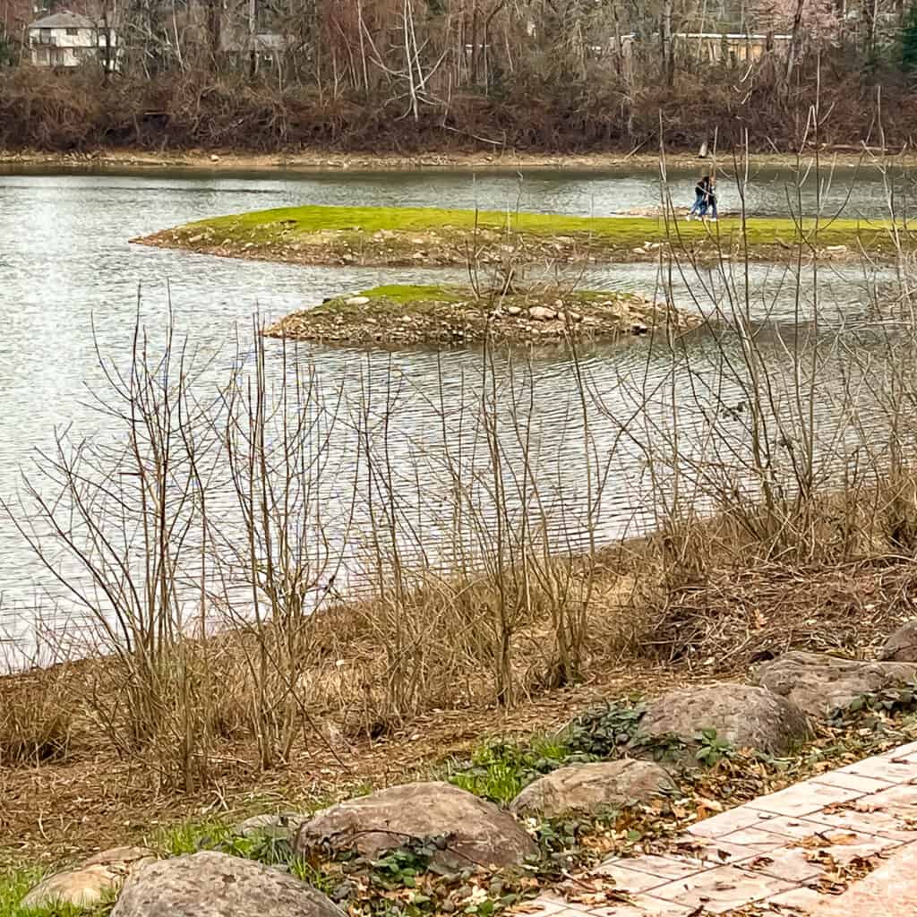 CAMUS WASHOUGAL GREENWAY TRAIL 2022 03 12 84