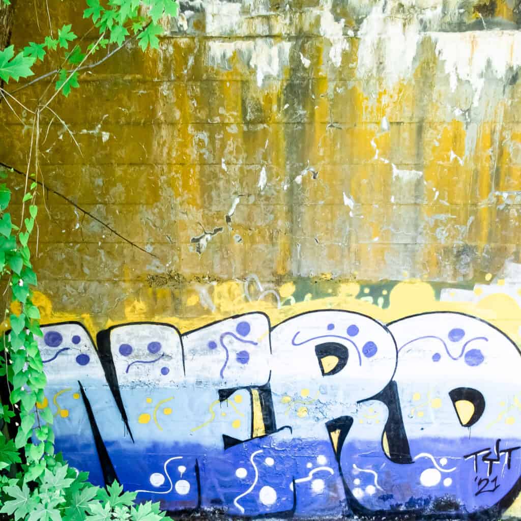 GEORGE ROGERS PARK TRAIL 06 25 21 24