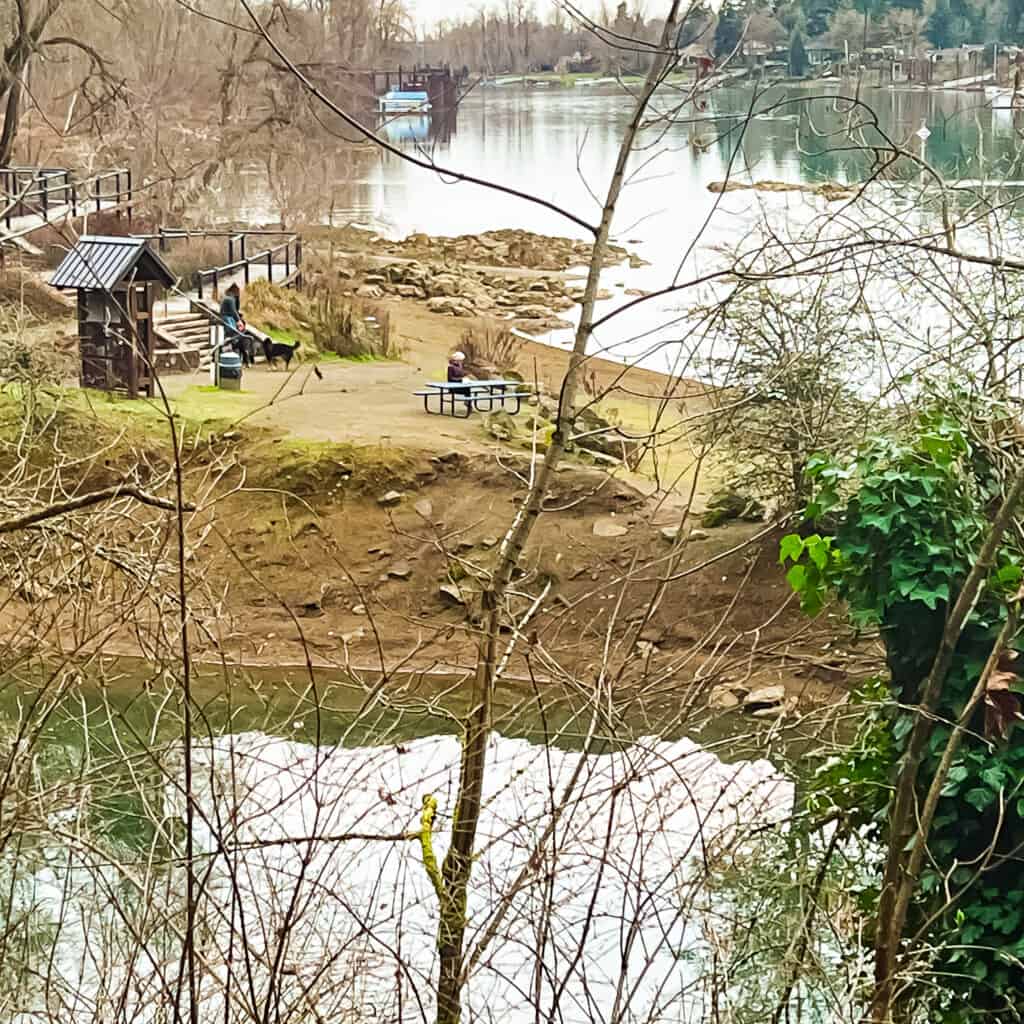 Old River Road Lake Oswego 1