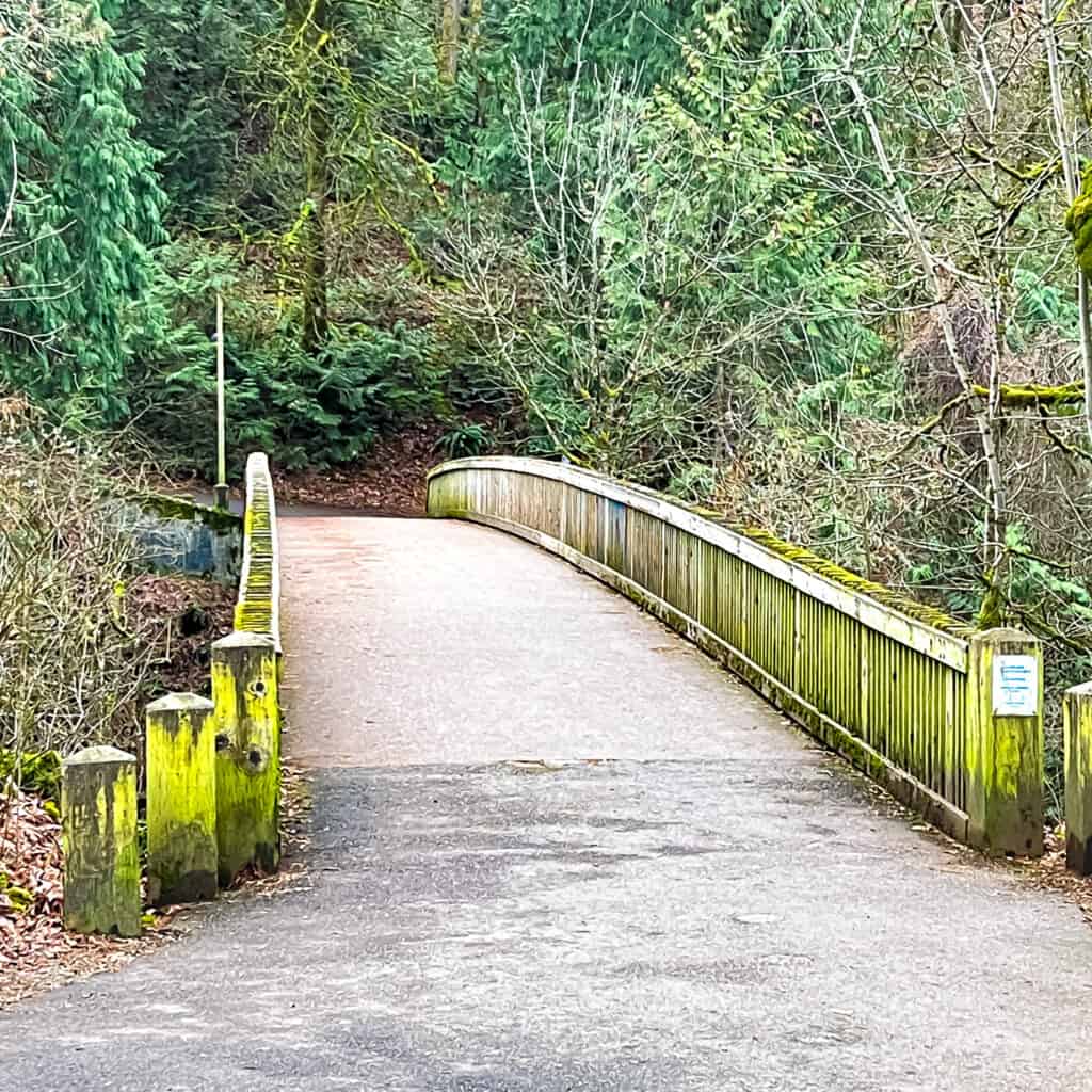Old River Road Lake Oswego 2