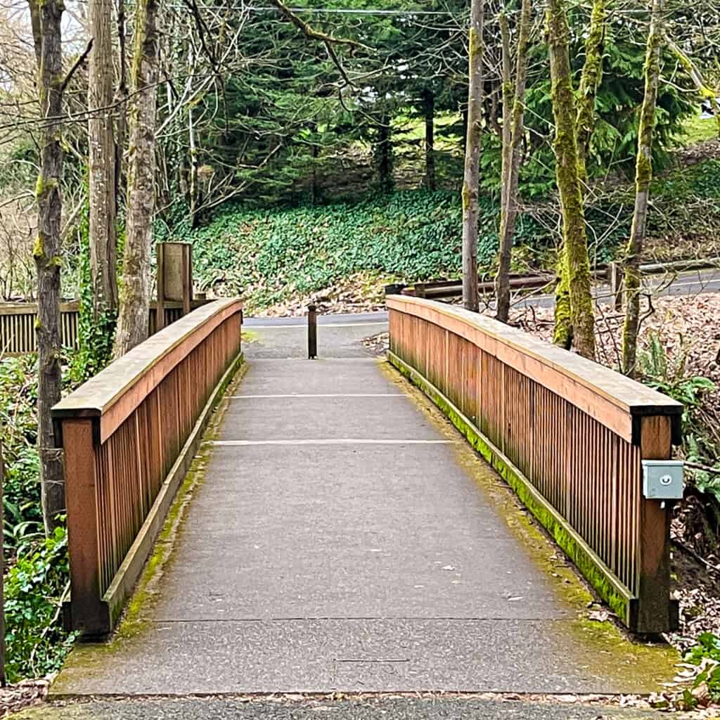 Old River Road Lake Oswego 3