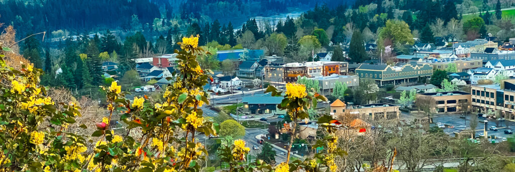 Old Willamette