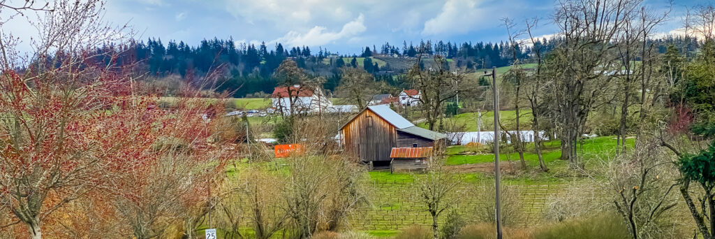 View from Stevens Meadow, Lake Oswego