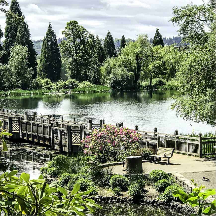 Crystal Springs Rhododendron Garden | SkyBlue Portland