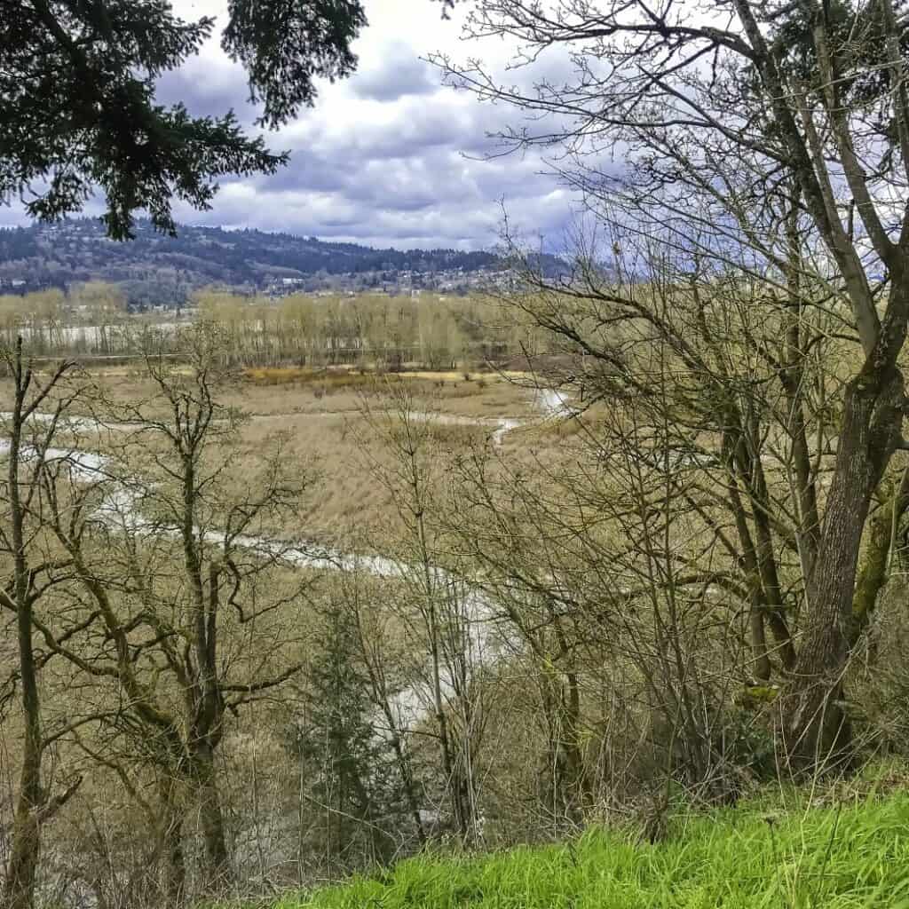 Oaks Bottom Wildlife Refuge | SkyBlue Portland OAKS BOTTOM WILDLIFE REFUGE Sellwood Or