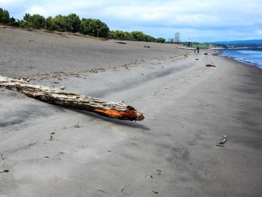 Sauvie Island Beach in the summer