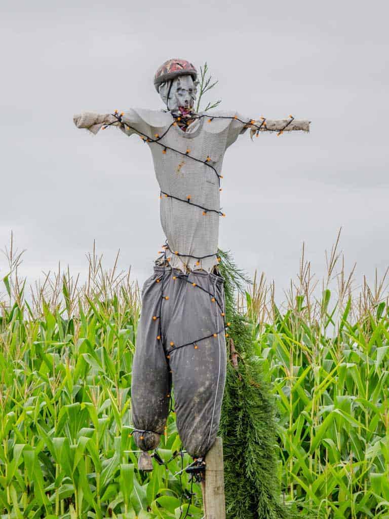 Scarecrow on Sauvie Island