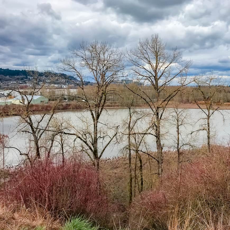 OAKS BOTTOM FALL 2018 47