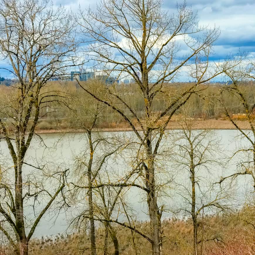 OAKS BOTTOM FALL 2018 49