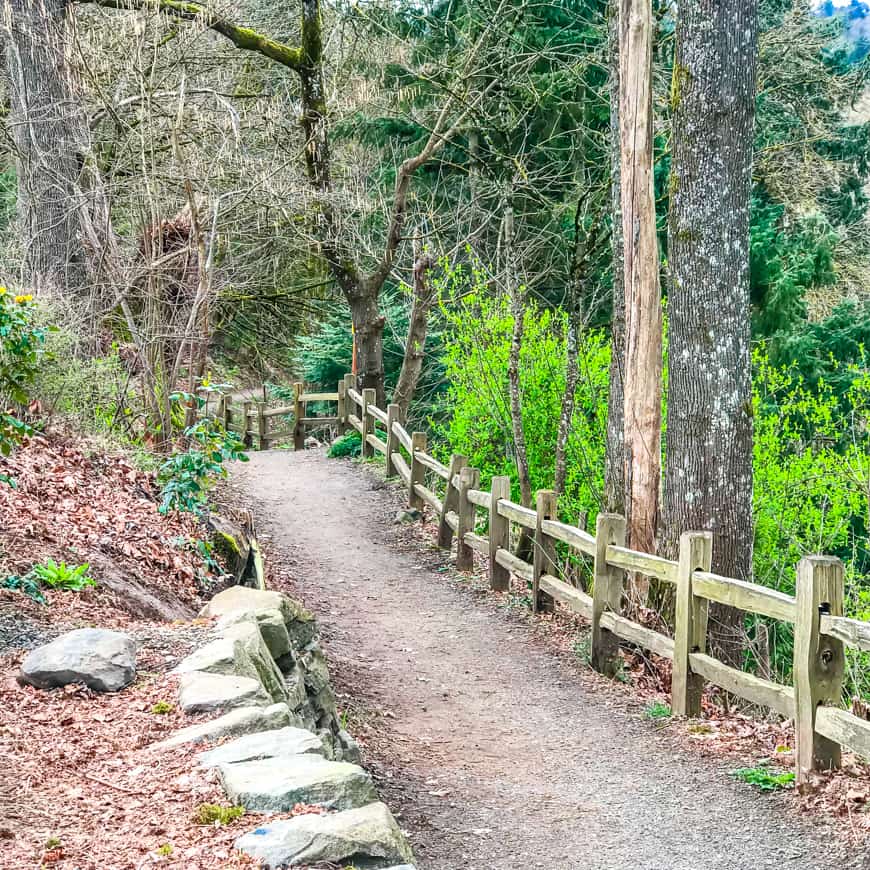 OAKS BOTTOM FALL 2018 59